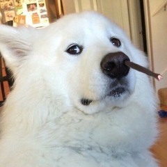 smoke_out_sadness