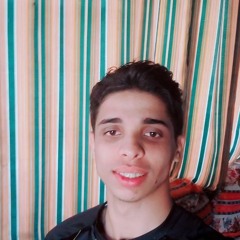Ahmed Gamal