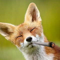 Oni The Fox
