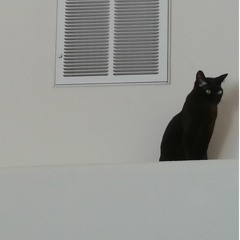 I dunno what life is