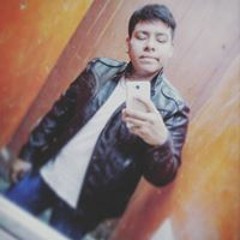 Bryan F R Fiestas