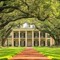 Lil Plantation