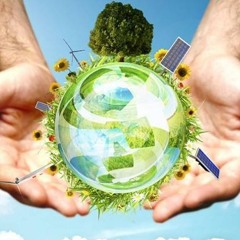 Environmental Consultants Sydney