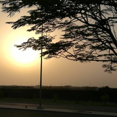JunVar