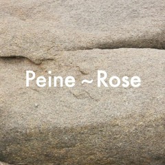 Peine ~ Rose