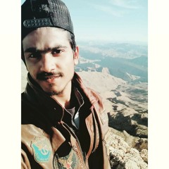 Zeeshan Alee