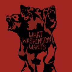 What Washington Wants