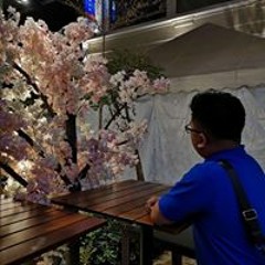 Yin93