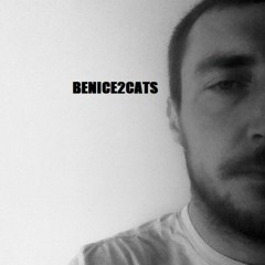 BE NICE 2 CATS