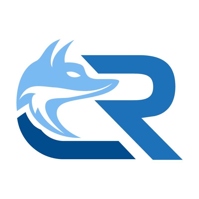 Steuerberater Carsten Reineke cover art