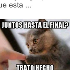 Lider Nieto
