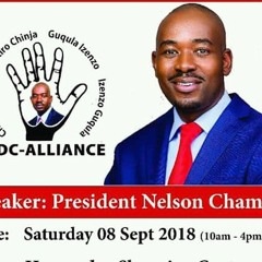 Chamisa chete chete