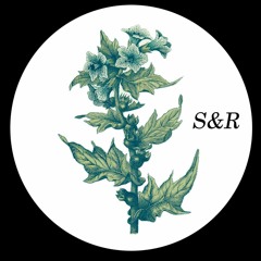 Sacripantas & Rotundos