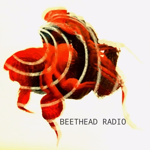 BEETHEAD RADIO’s avatar