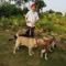 Sarabjit