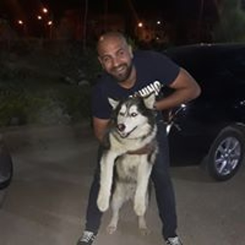 amr elghoul’s avatar