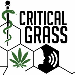 Critical Grass