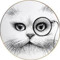 Mr. Sebdu