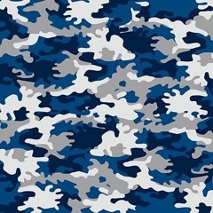Camo