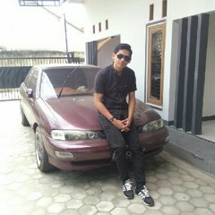 ary agus setiawan