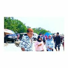 david