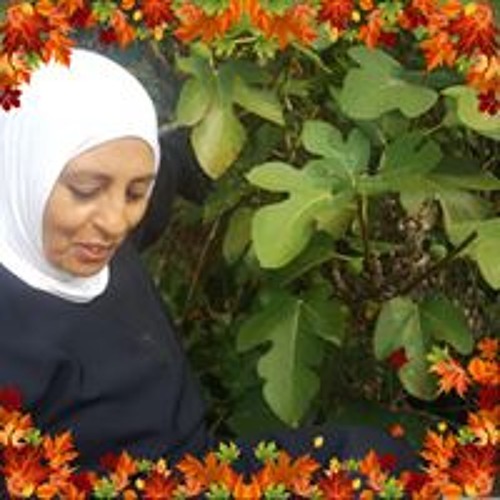 Huda Ghanem’s avatar
