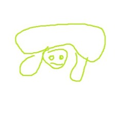 Tortoi