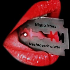 Nachtgeschwister Official