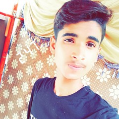 shahzamanali900@gmail.com