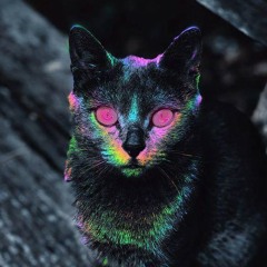 Darkpsy👽🕉️🔺