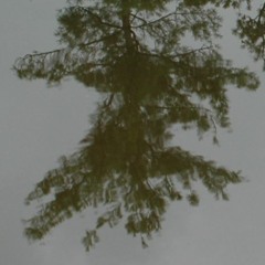 egava