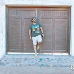 Mohamed Hesham El Malwany