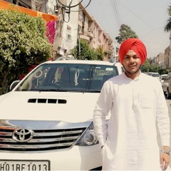 Rana Singh Vij