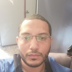 Mahmoud Bakry