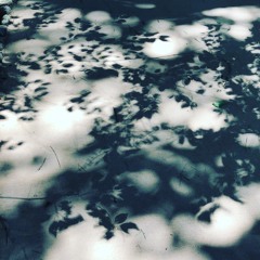 impro #1(Maritissitorongo)