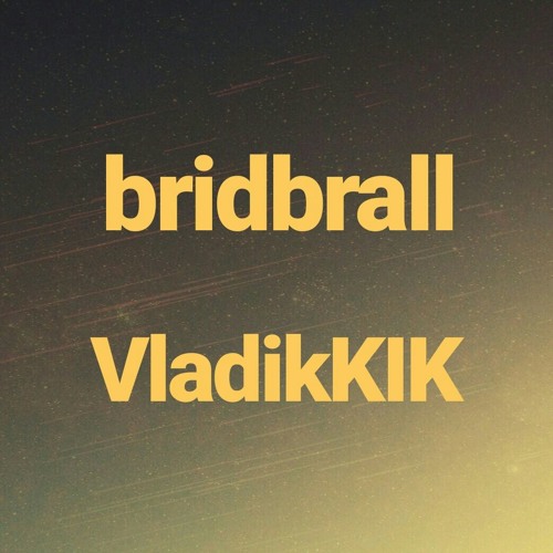 VladikKik_&_bridbrall’s avatar