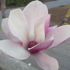 Block B - 빠빠빠빠 (몽땅내사랑 OST)