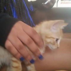 kelvin