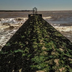 Mikey.James/acoustic