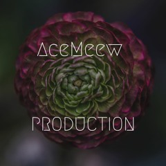 AceMeew Production