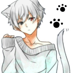Neko-Kun