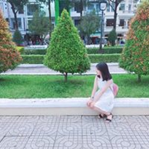 Trần Mai’s avatar