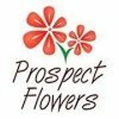 prospect flowers