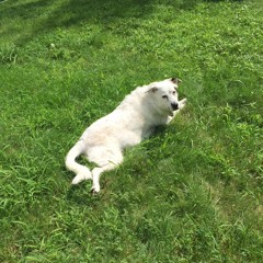 Easton Chunk Project