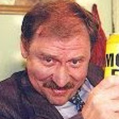 Stefan niesiołowski