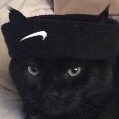 yung no$
