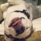Tyler Rayne Thornsbearry