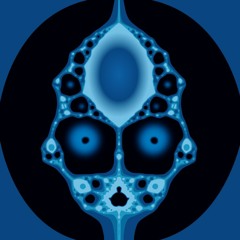 The ShenЯ