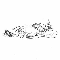 Castorillo, el podcast