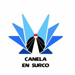 Canela En Surco Records